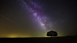 星空に浮かぶ小さな大木