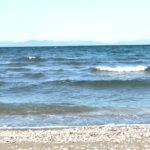 常滑の海
