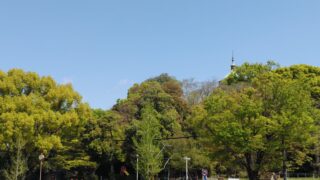青い空と森