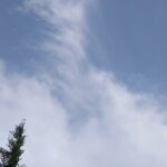 青い空と白い雲