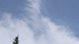 青い空と白い雲