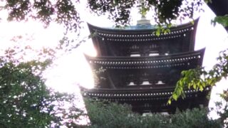 そびえる五重塔