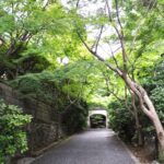 山門にに続く道（桃厳寺）