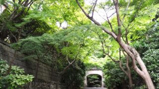 山門にに続く道（桃厳寺）