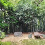 竹林