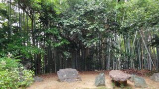 竹林