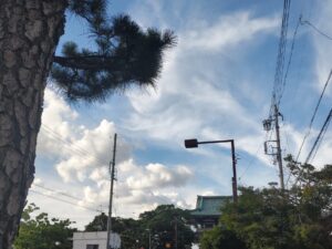 覚王山夏祭2025