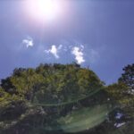 青空と緑