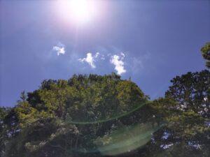 青空と緑