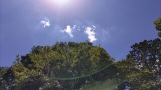 青空と緑