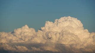 入道雲