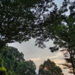 夏の早朝