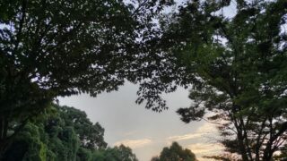 夏の早朝