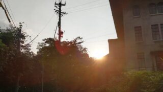 朝日登る