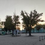 公園の朝