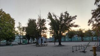 公園の朝