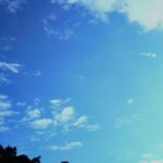 秋の空