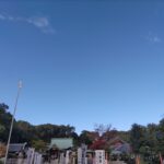 神社越しに青空を望む