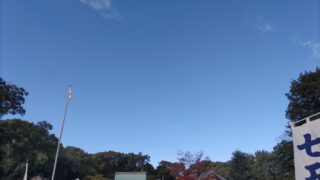 神社越しに青空を望む