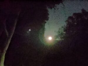 闇の輝く明るい月