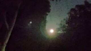 闇の輝く明るい月