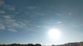 知多半島の農地の中の道