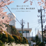 気象台と桜とゆきやなぎ