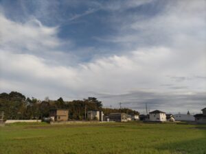 田んぼと空