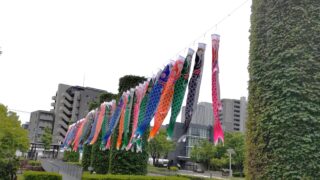 ノリタケの森5月