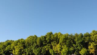 緑と青空