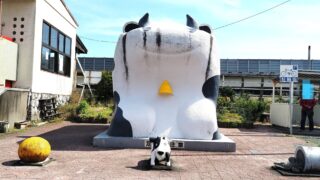 牛のトイレ