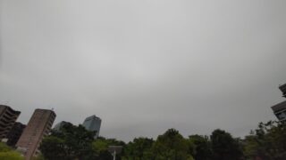 ノリタケの森から望む