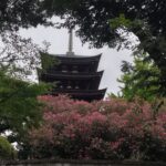 日泰寺五重塔、夏