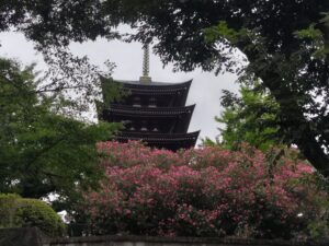 日泰寺五重塔、夏