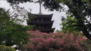 日泰寺五重塔、夏